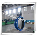 API609 Double Flanged Double Operated Butterfly Valve (D26F)